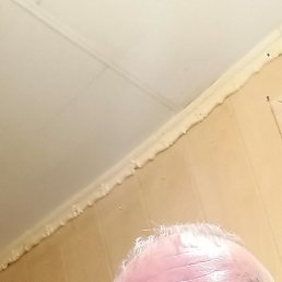 , , 42 