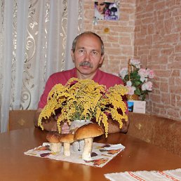 ���������, ������