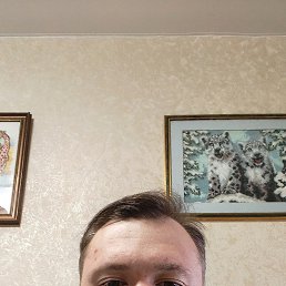 �����, 34 ����, ���������