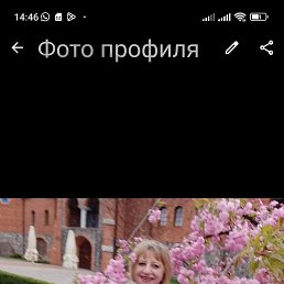 , 60, 