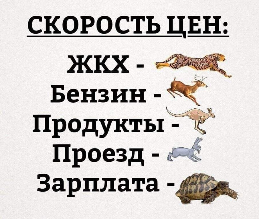    ,    ((