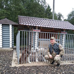 ������, �����, 37 ���