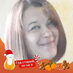 ���� ����, ������, 42 ���� - ��������� 25 ������� 2026