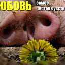 ���� ����������, ���������, 59 ��� - ��������� 25 ���� 2026 � ������ ������ ��������