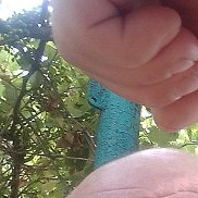 , 45 , 