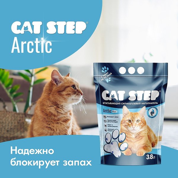     CAT STEP Arctic?   : vk.cc/crn0Ui - 3