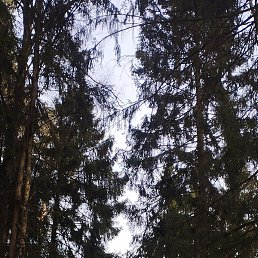 �����, ����, 35 ���