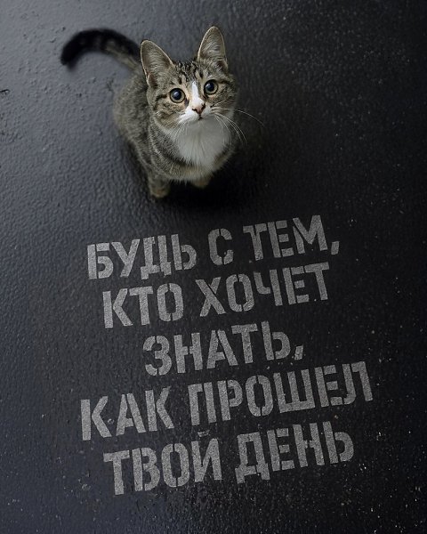 .�������. - 2 ������ 2025 � 02:05 - 8