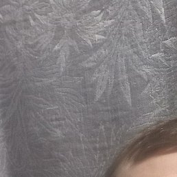 ���������, ������, 40 ���