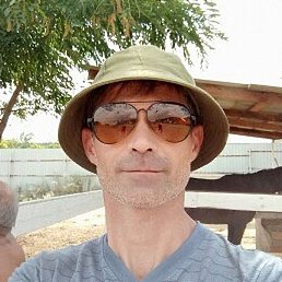 ����, ������������, 44 ����