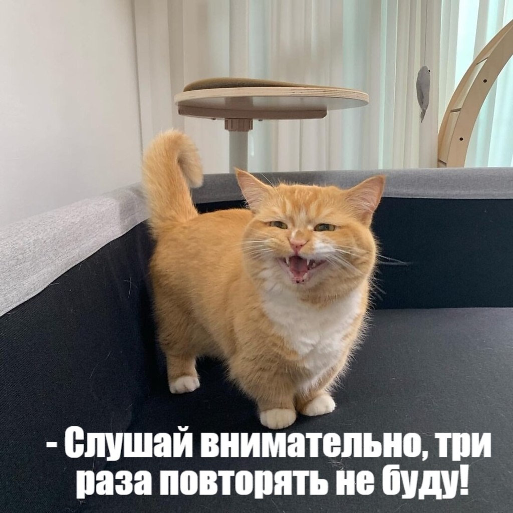       - 1  2025  11:42 - 4