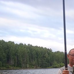 Bdfy, , 42 