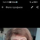���� �����, ������, 44 ���� - ��������� 14 ���� 2026 � ������ ���� ����������