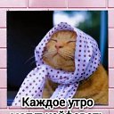 ���� �����, ������ ����� - ��������� 26 ����� 2026 � ������ ������ ��������