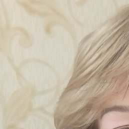 �������, �������, 64 ����