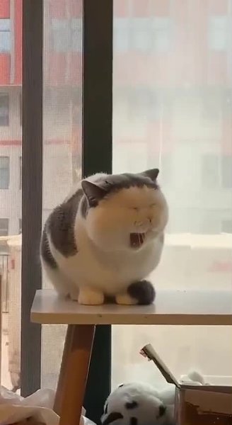 �������� ����� ��� � �����...! - 2