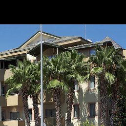 �����, ���������, 55 ���