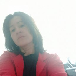 �����, ��������, 41 ���