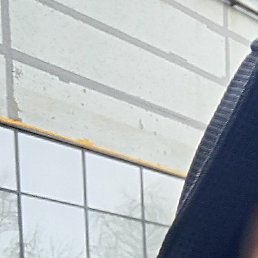 ���������, ������, 29 ���