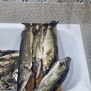 ���� ����, ��������, 57 ��� - ��������� 4 ��� 2026