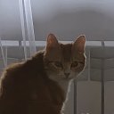���� Liza, ������, 23 ���� - ��������� 7 ��� 2026 � ������ ���� ����������