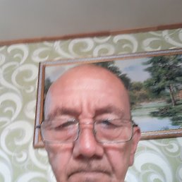 , 61, 
