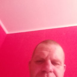  , 41 , 