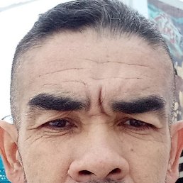 ���� ������, �����������, 46 ��� - ��������� 4 ������� 2023