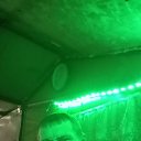 ���� ���������, ����, 43 ���� - ��������� 7 ������� 2025 � ������ ���� ����������