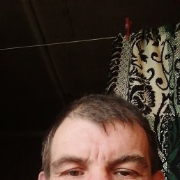 , 38 , 