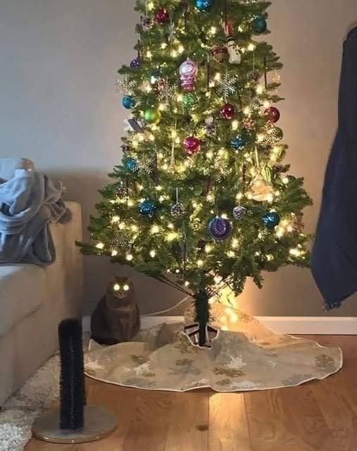 ����� ������� ������ ����, �� ������� ����, ������� ������� �������������: