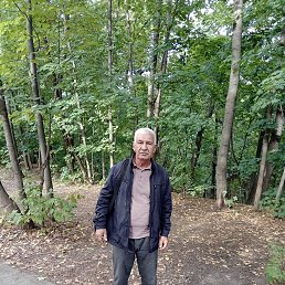 ���� ����, ������, 63 ���� - ��������� 12 ������ 2024