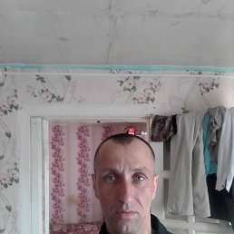 �������, 40 ���, ������