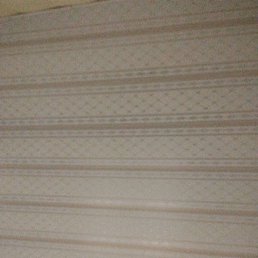 ���, �������, 44 ����