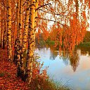 ���� �����, ������������ - ��������� 19 �������� 2024 � ������ ������ ��������