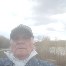 , 50, 