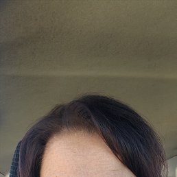 , 62, 