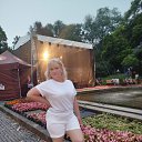 ���� �������, �������, 53 ���� - ��������� 24 ���� 2026 � ������ ���� ����������