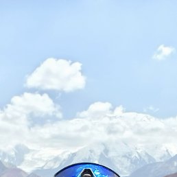 ���������, 41 ���, ��������