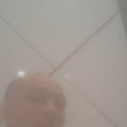 �����, ������, 48 ���