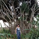 ���� ����, �����, 59 ��� - ��������� 22 ������ 2025 � ������ ���� ����������