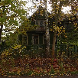 Dima, ������������, 45 ���