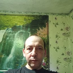 , 46 , 