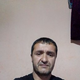  , , 49  -  22  2025