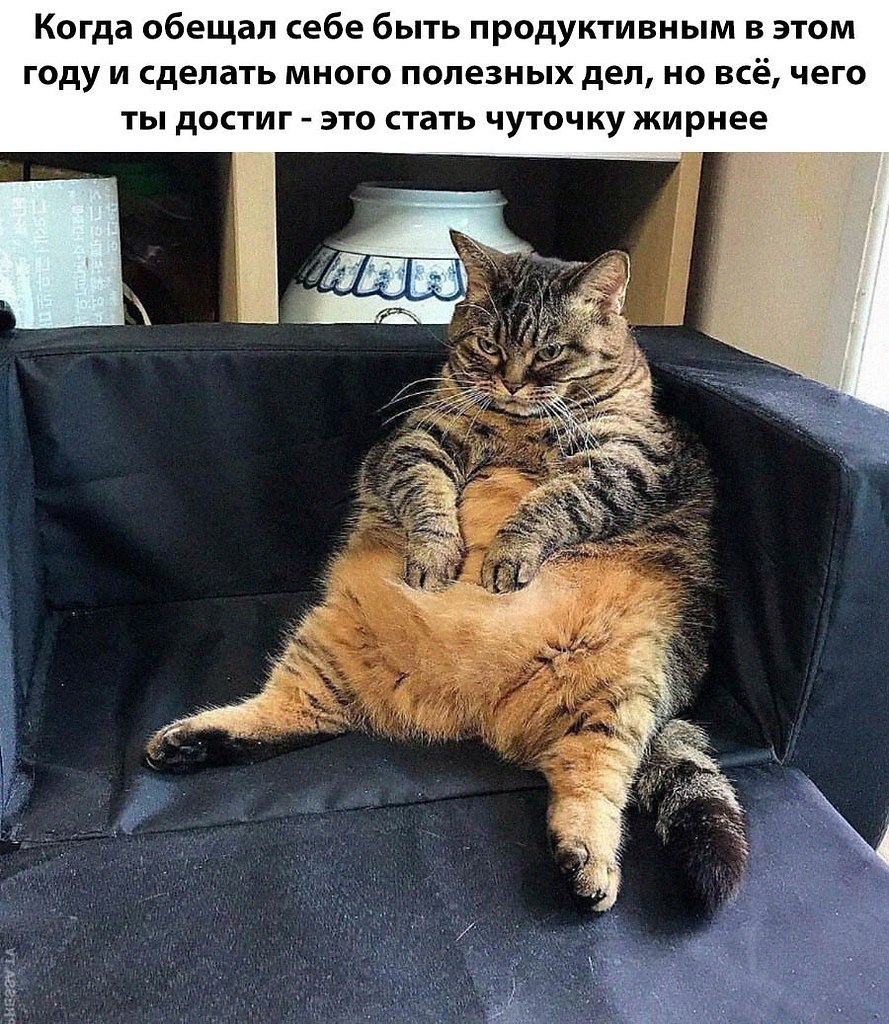    - 7  2025  12:11