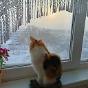  ,  -  11  2023    