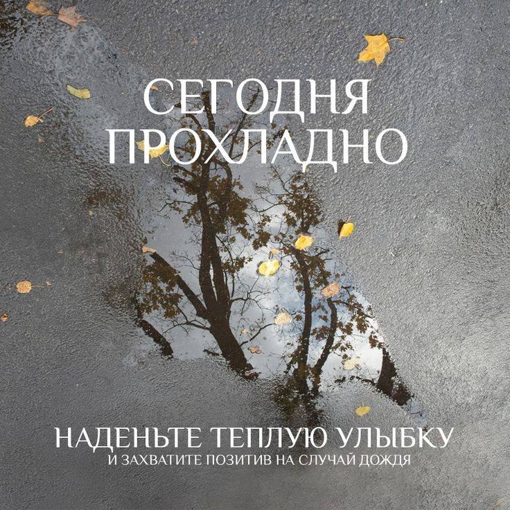   ,    . - 9  2025  13:55