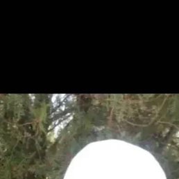 , 46, 