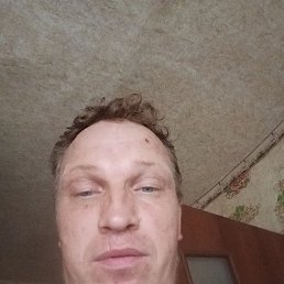 , 40, 