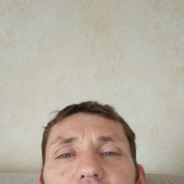 , 46 , 
